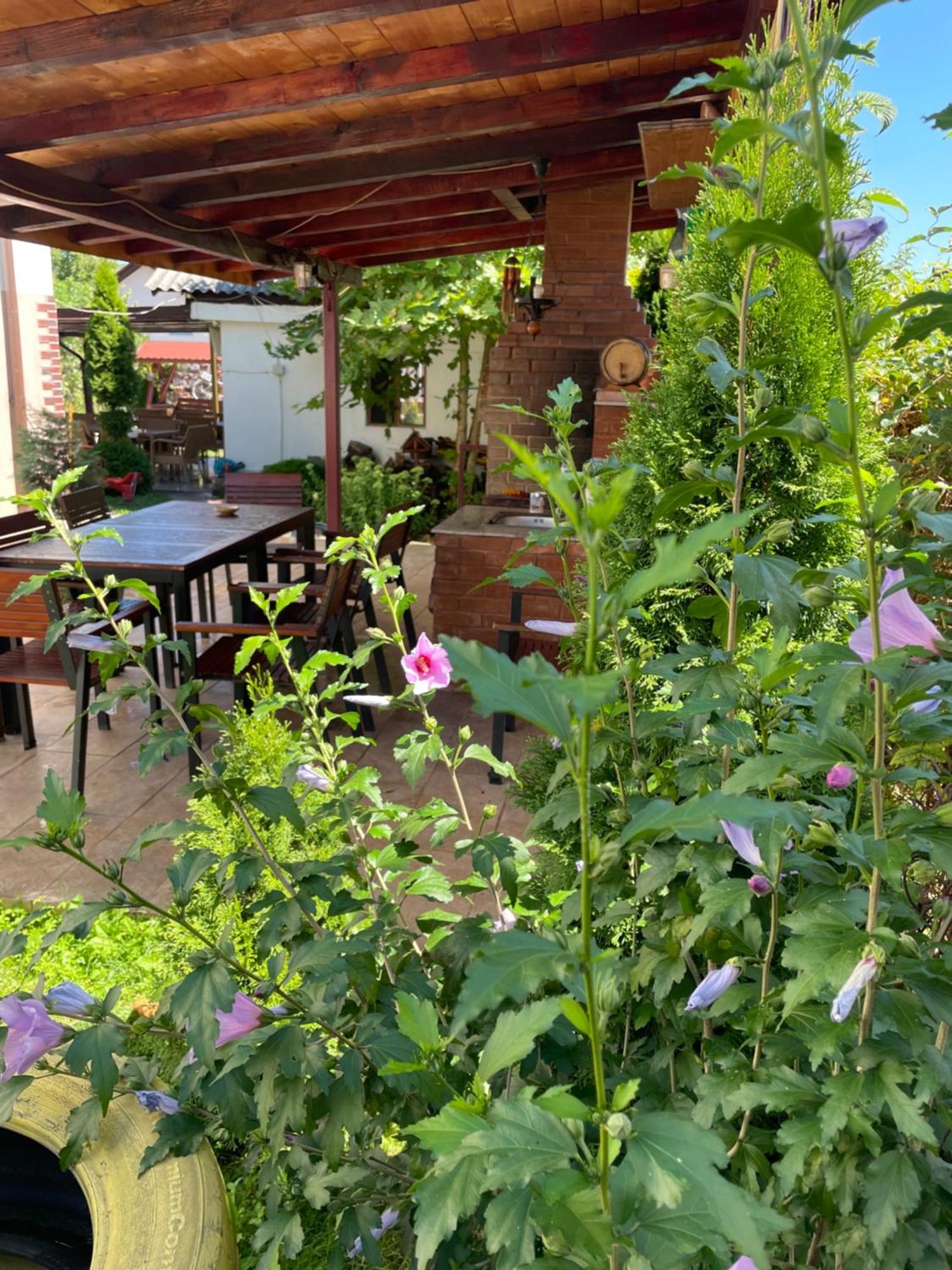 Pensiunea Casa Rica Călimăneşti Bagian luar foto