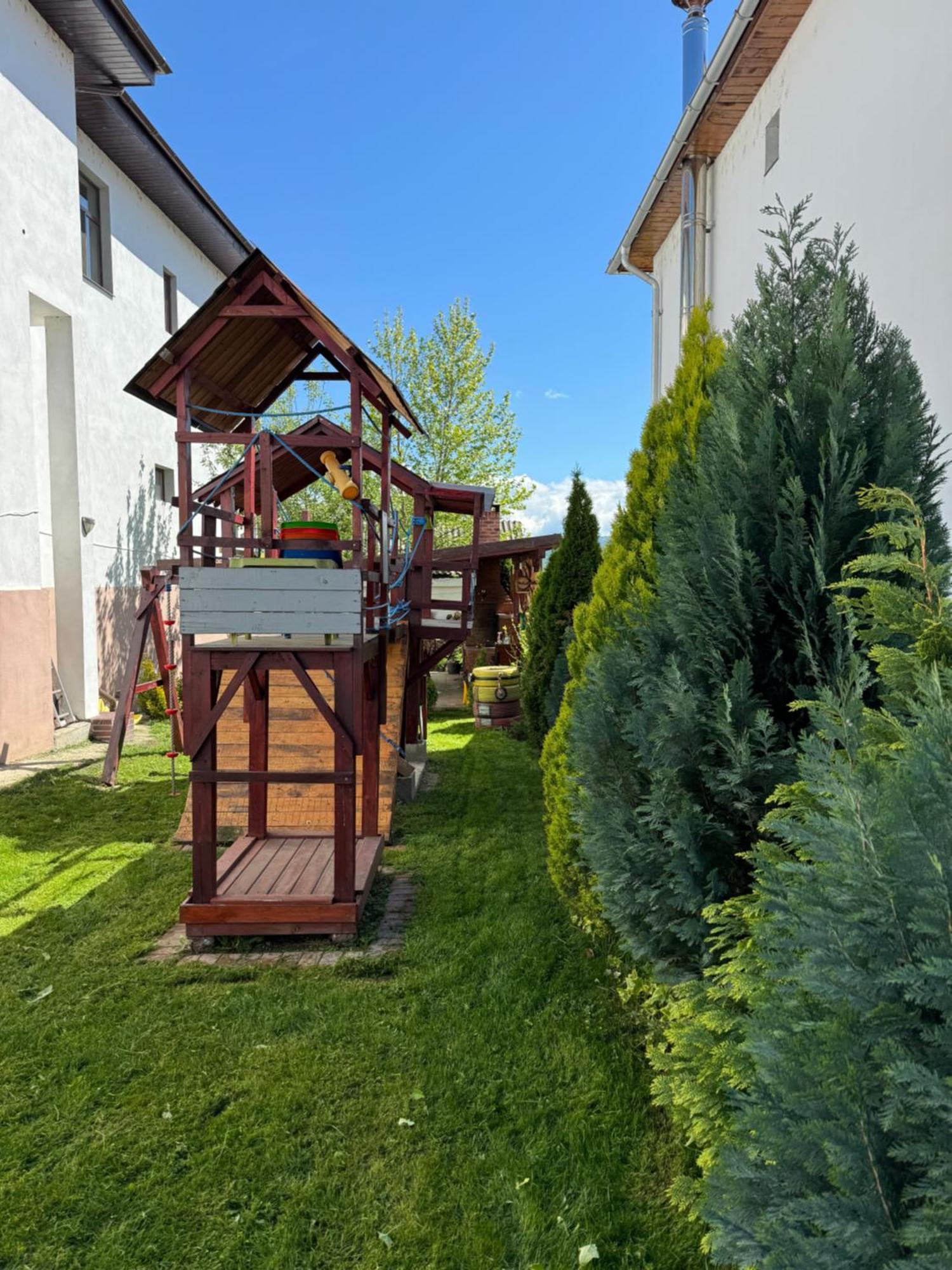 Pensiunea Casa Rica Călimăneşti Bagian luar foto