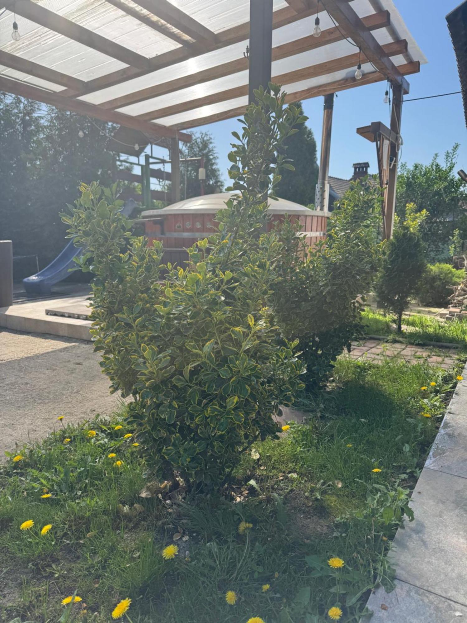 Pensiunea Casa Rica Călimăneşti Bagian luar foto
